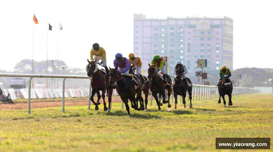 星空综合中国官方网站打破极限，挑战自我！